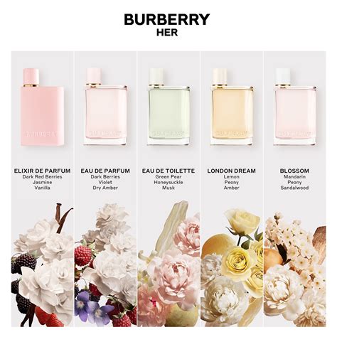 burberry her parfum bewertung|burberry her vs elixir.